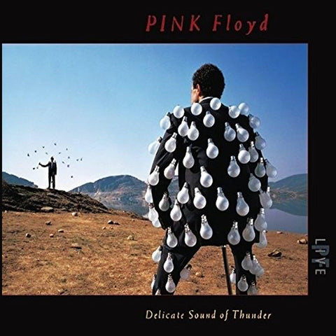 Pink Floyd Delicate Sound Of Thunder Live - 2 CD Digipak
